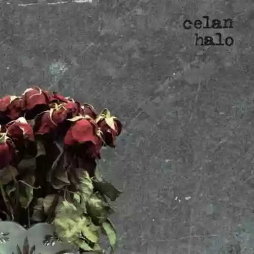Cover di Halo