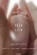 <b>Terrence Malick</b> • The Tree Of Life