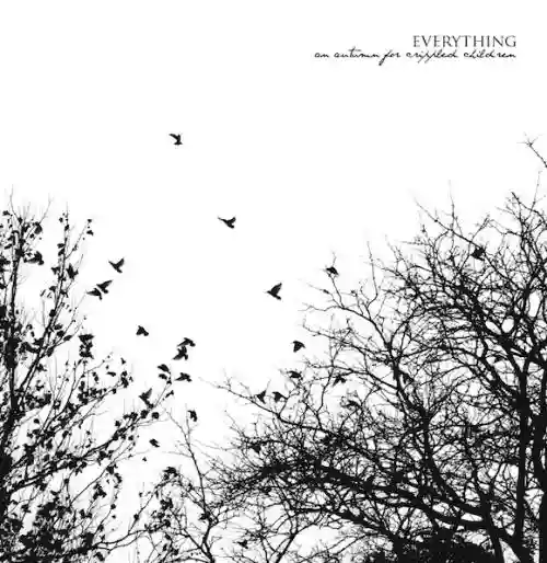 Cover di Evertyhing