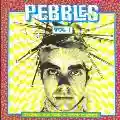 <b>Various Artists</b> • Pebbles Vol.1