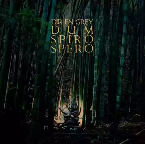 Cover di DUM SPIRO SPERO