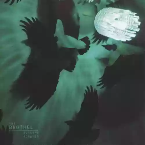 Cover Susanne Sundfør - The Brothel