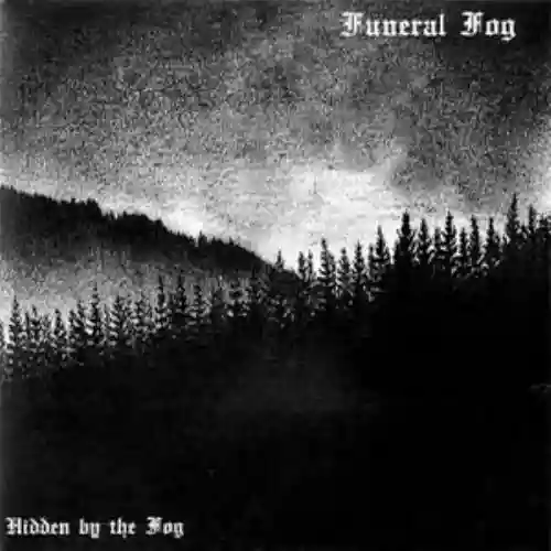 Cover di Hidden by the Fog