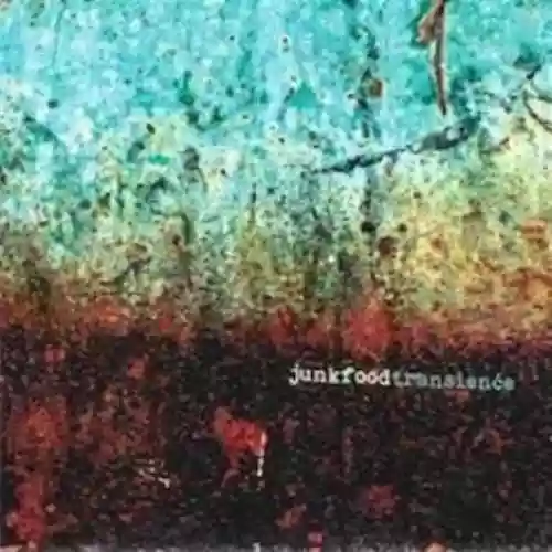 Cover di Transience
