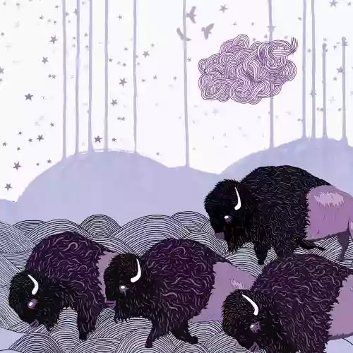 Cover *shels - Plains of the Purple Buffalo