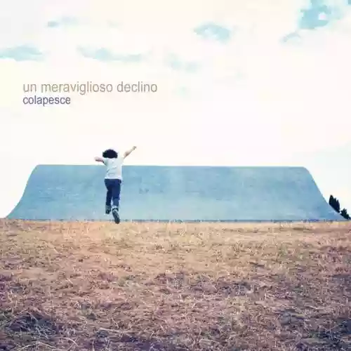 Cover di Un Meraviglioso Declino