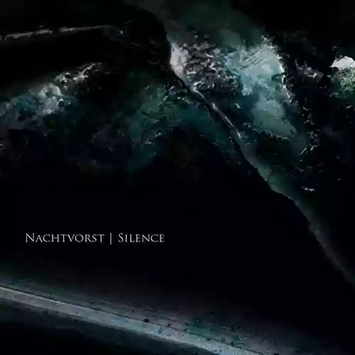 Cover di Silence