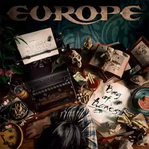 Cover di Bag Of Bones