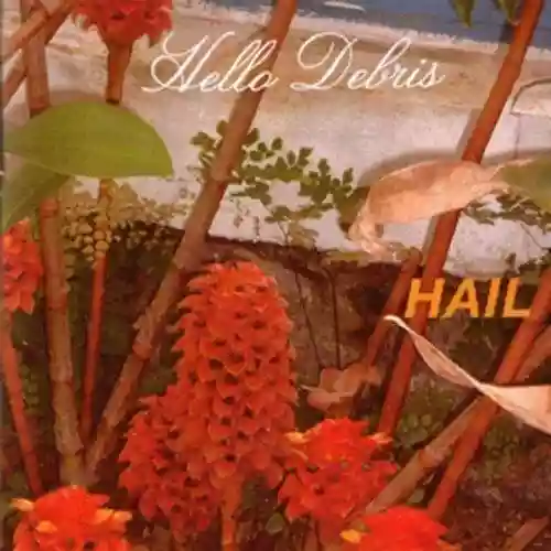 Cover di Hello Debris