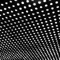 <b>Beach House</b> • Bloom