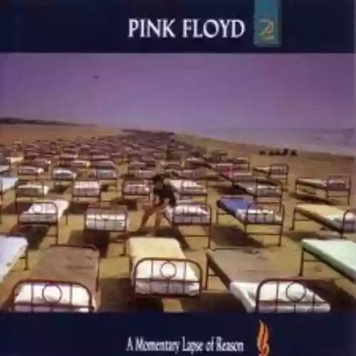 Cover di A momentary lapse of the reason