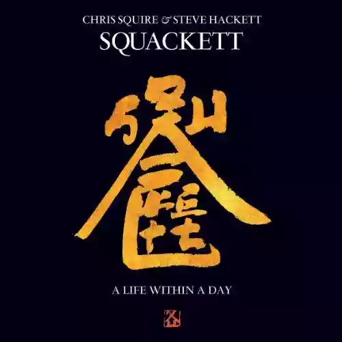 Cover di A Life Within A Day