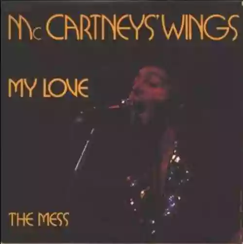 Cover di My love/ The Mess
