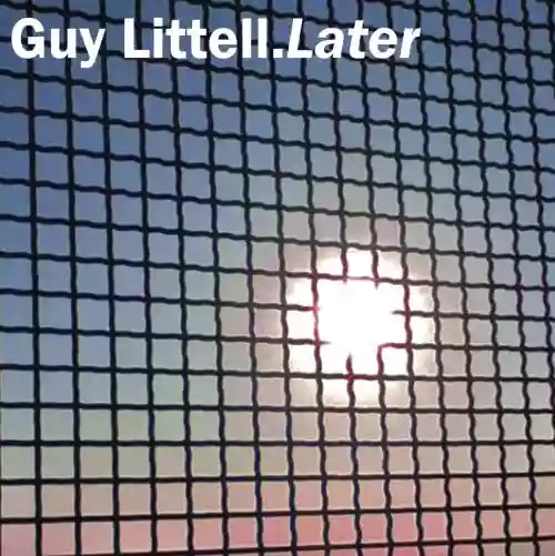Cover di Later