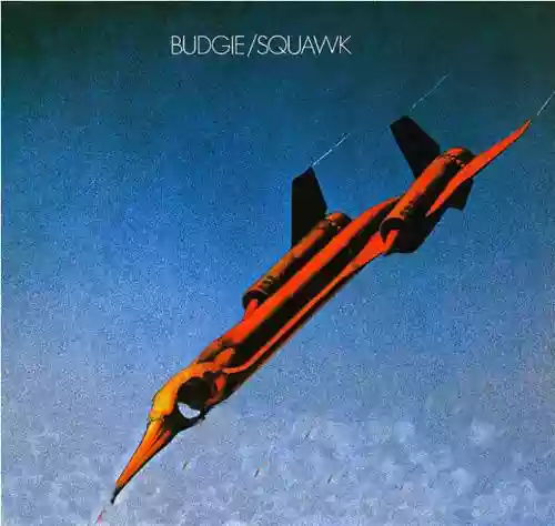 Cover Budgie - Squawk