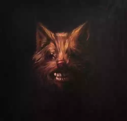 Cover Swans - The Seer
