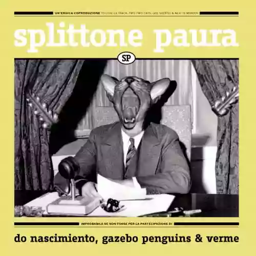 Cover di Splittone Paura