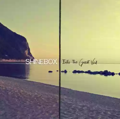 Cover di Into The Great Void