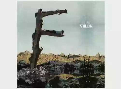 Cover di Metals