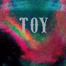 Toy: Toy
