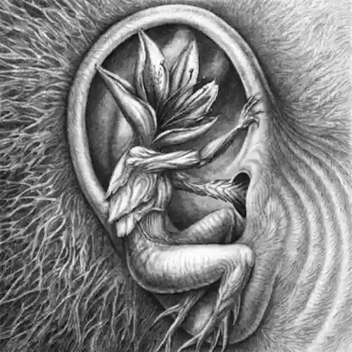 Cover di Doom in Bloom / Allies