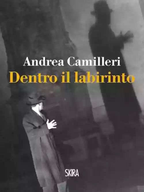 Cover di Dentro il labirinto