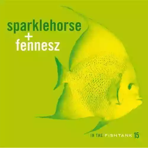Cover Sparklehorse + Fennesz - In The Fishtank 15