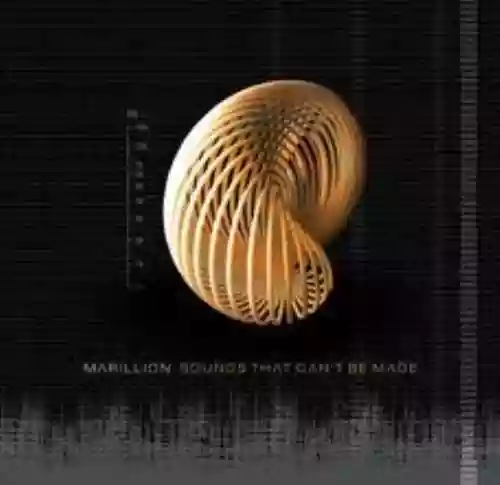 Cover di sounds that can't be made