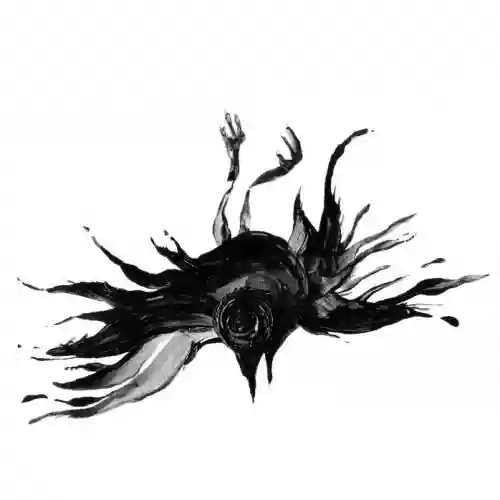 Cover di Born A Trip