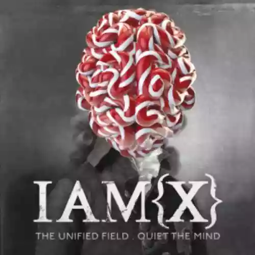 Cover di The Unified Field (IAMX Music Videoclip)