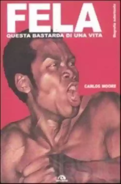 Cover di Fela Questa bastarda di una vita