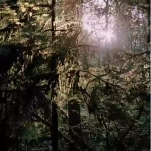 Cover White Manna - White Manna