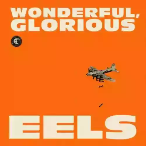 Cover di Wonderful, Glorious