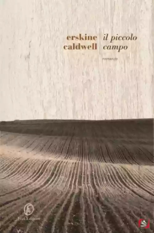 Cover di Il piccolo campo