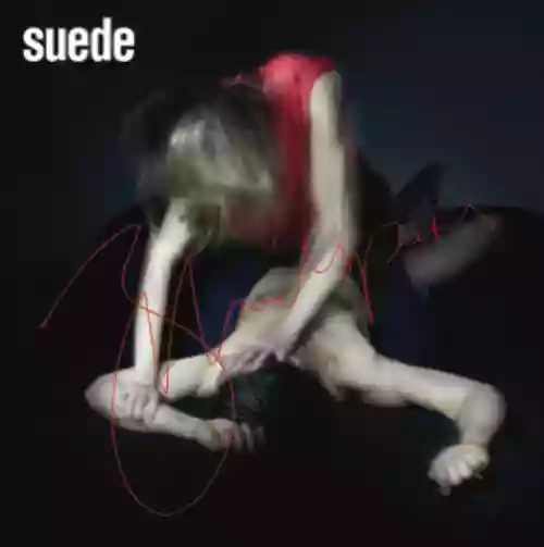 Cover Suede - Bloodsports