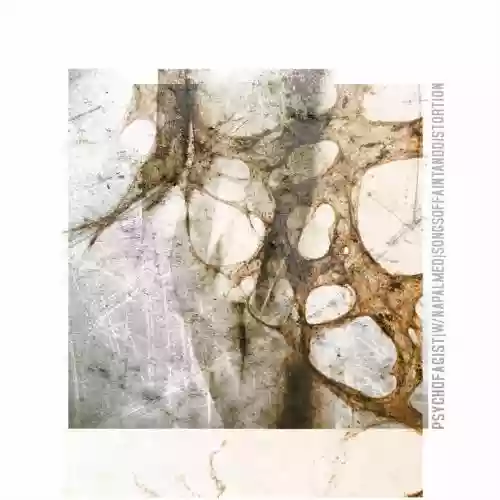 Cover di Songs Of Faint And Distortion