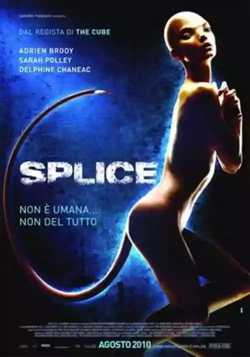 Cover di Splice