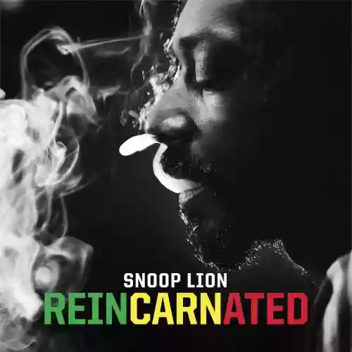 Cover di Reincarneted