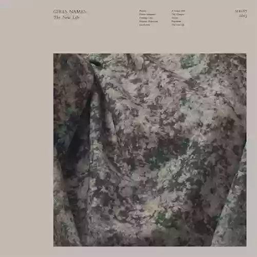 Cover di The New Life