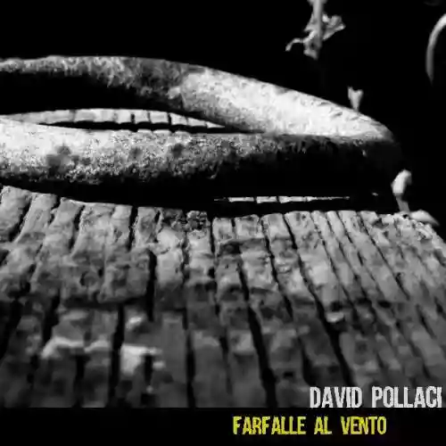 Cover di Farfalle al vento 
