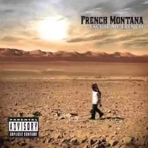 Cover di Excuse My French