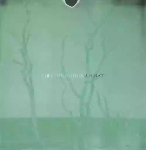 Cover di A Forest