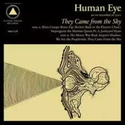 Cover di They Came From the Sky