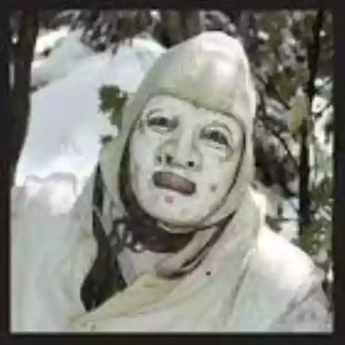 Cover di The Snow Bunker Tapes