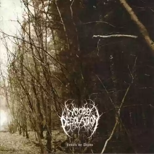 Cover di Toward the Depths