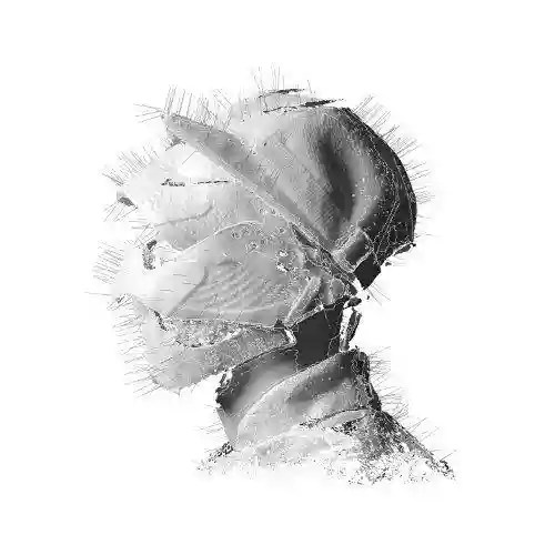 Cover Woodkid - The Golden Age