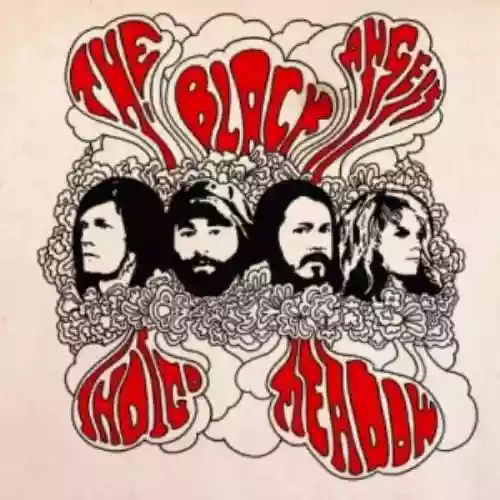 Cover The Black Angels - Indigo Meadow
