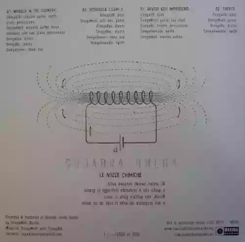 Cover di LE NOZZE CHIMICHE