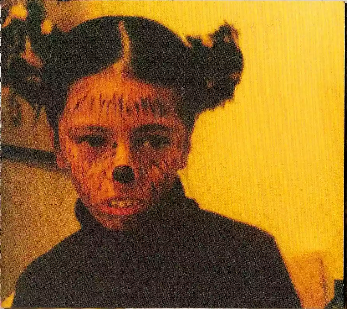 Cover of Wooden Veil Wooden Veil