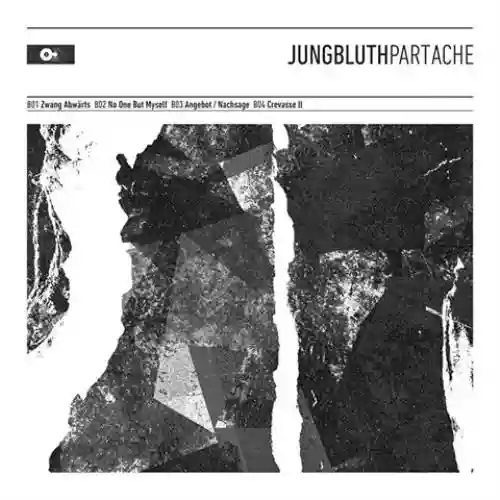Cover di Part Ache